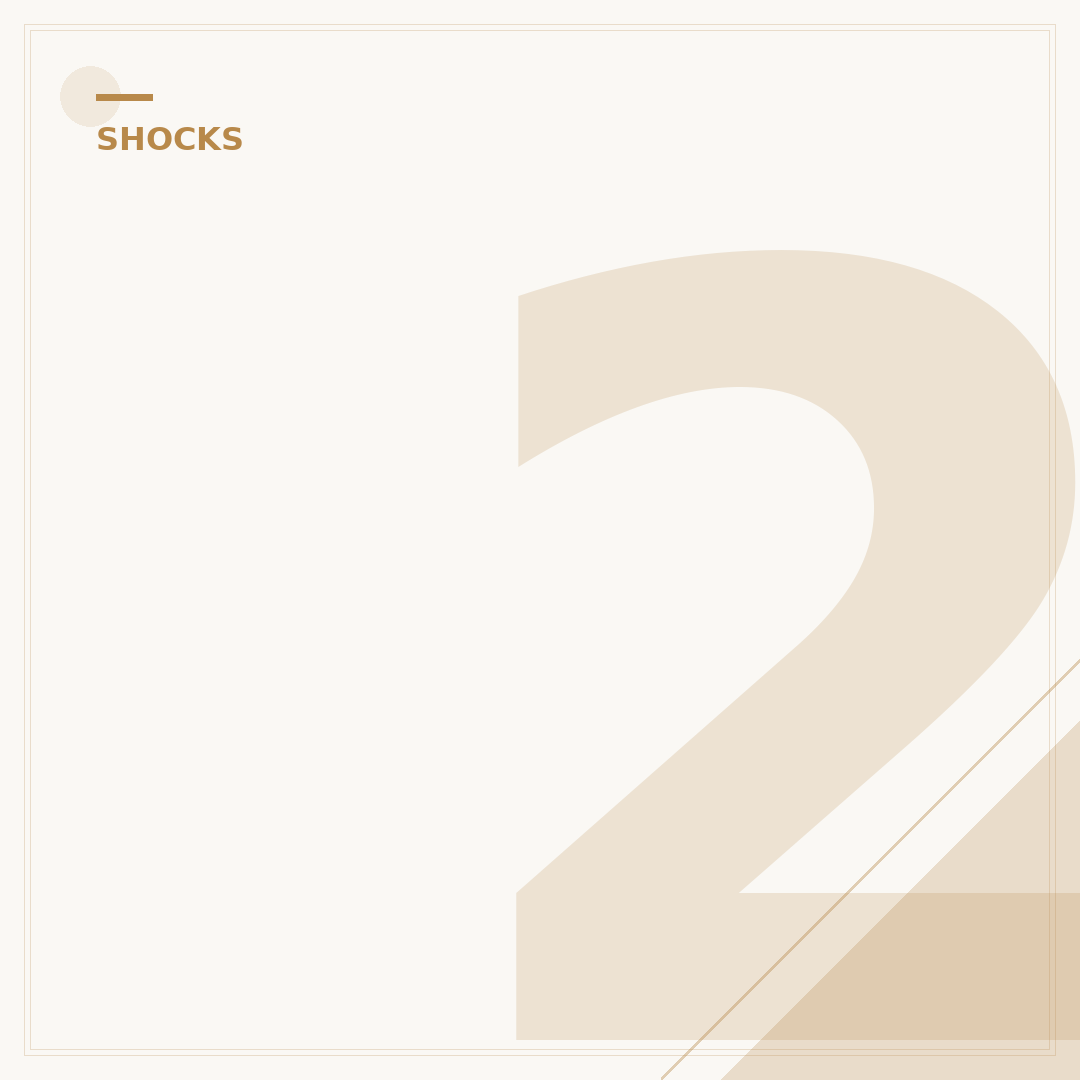 2004 Toyota Avalon Rear Struts & Shocks: Compatibility Guide