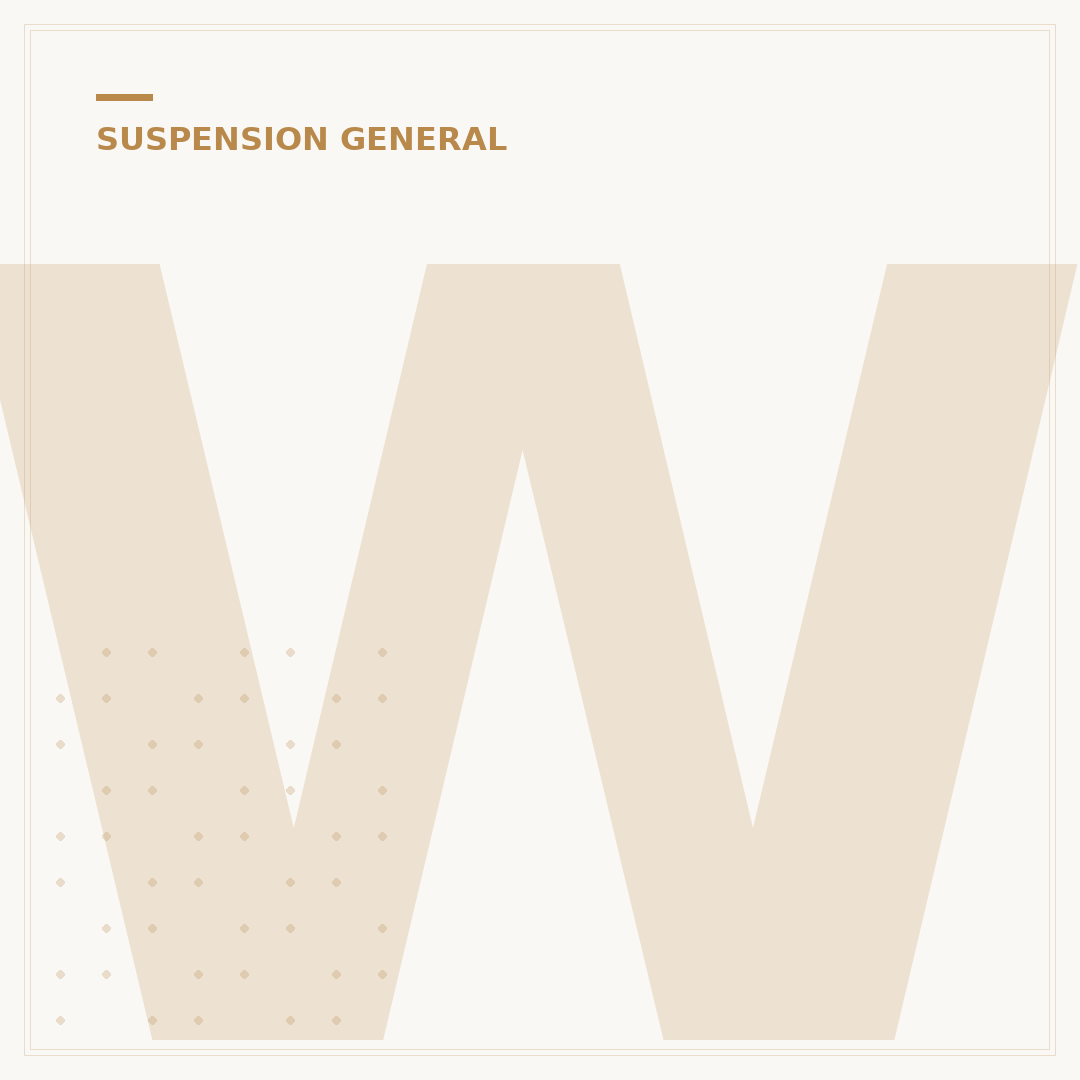 What is the Best Suspension System? 5 Criteria for Optimal Performance