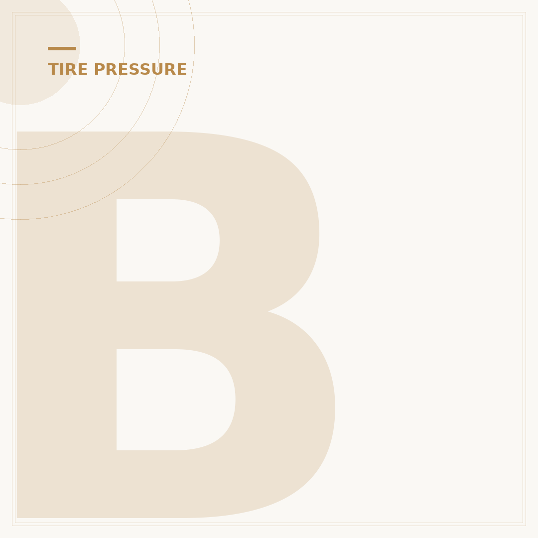 Best Tire Inflator with Pressure Gauge: Top 5 Picks for 2024