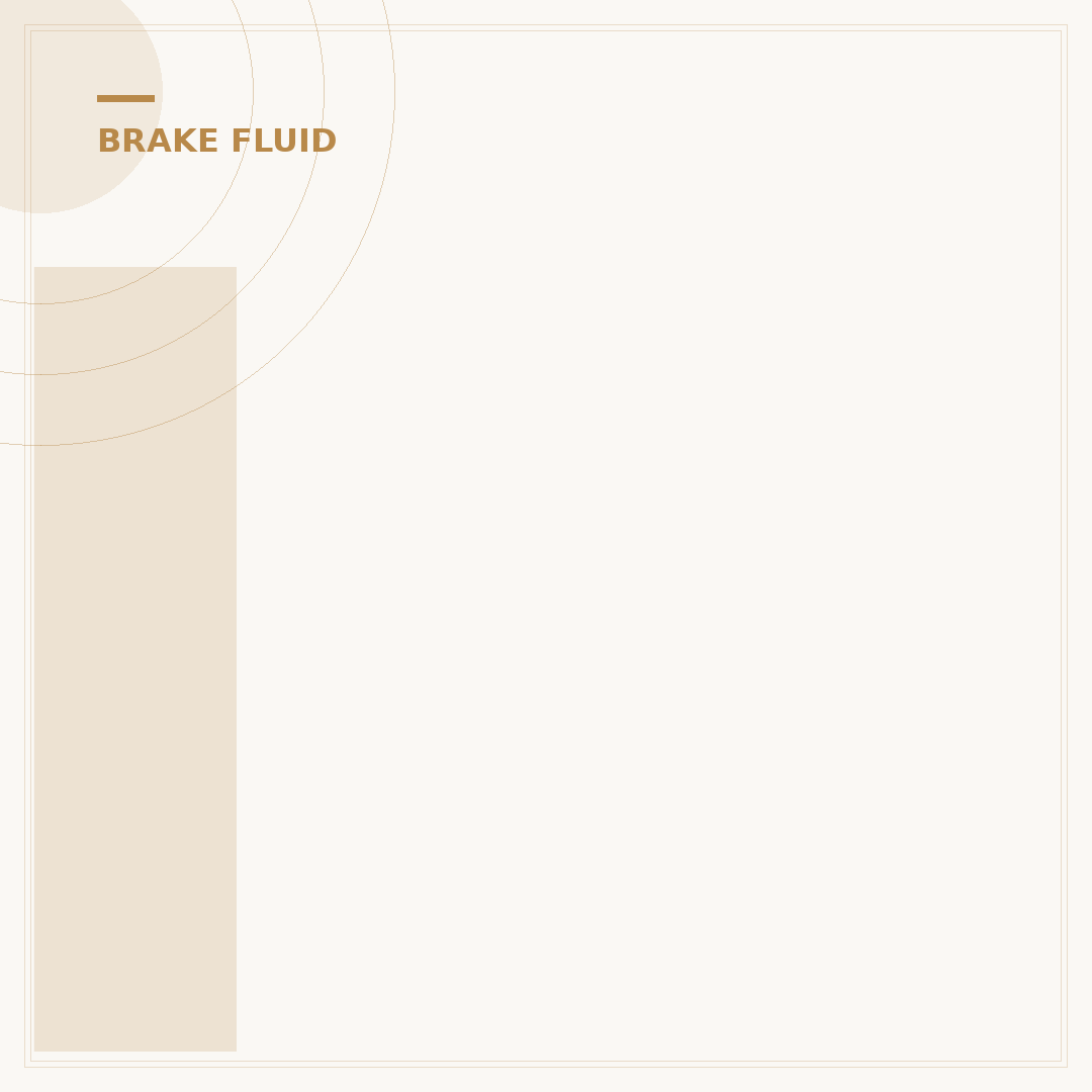 Is Brake Fluid Important? 5 Critical Reasons Why