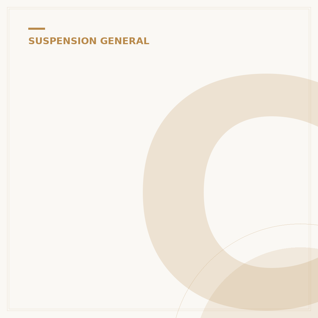 Citroen Suspension System: 5 Issues & 3 Fixes
