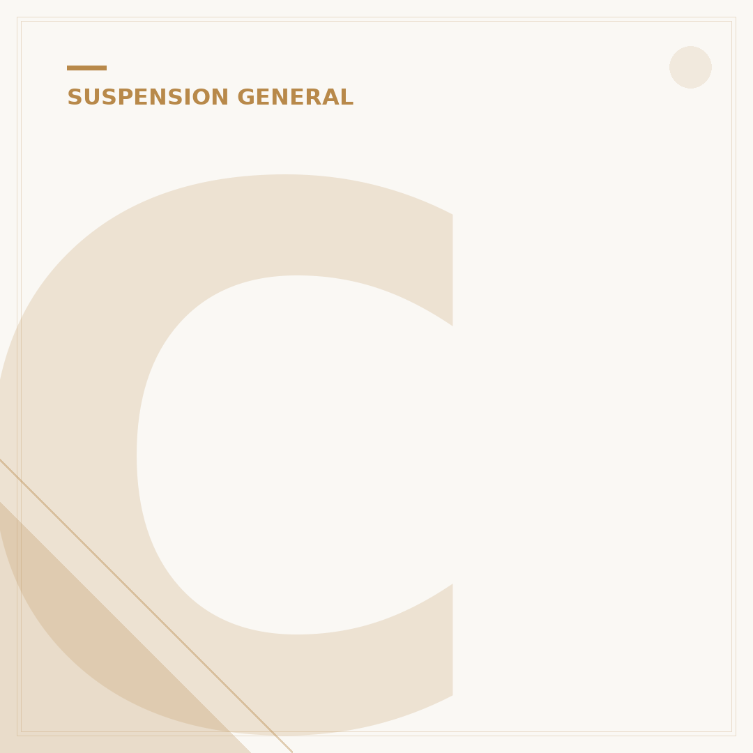 Complete Air Ride Suspension Kit: 5 Key Components Explained