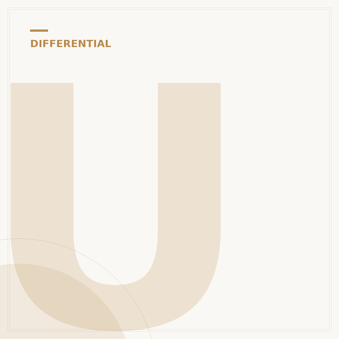 Understanding Your Front End Differential: 5 Key Functions