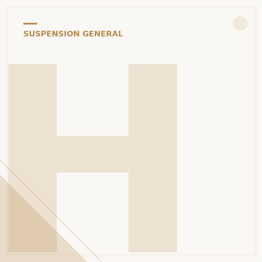 How Much is Air Bag Suspension? 2024 Cost Guide