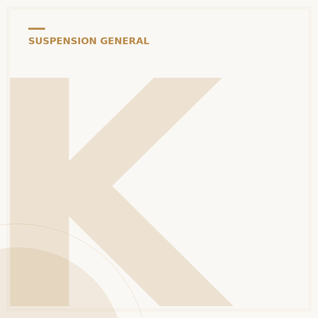 Kinetic Suspension System: 5 Common Problems & Fixes