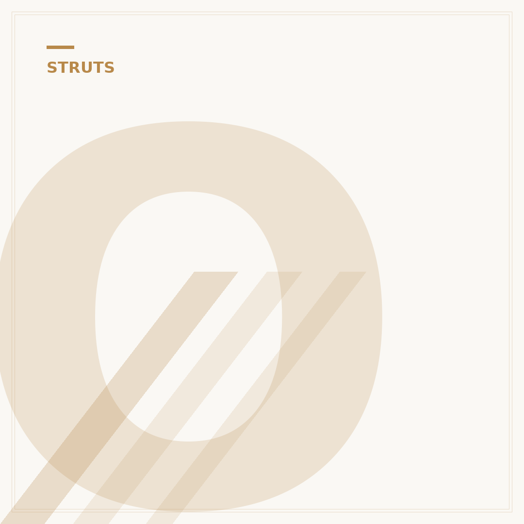 OEM Struts: What They Are & Why They Matter (2024 Guide)