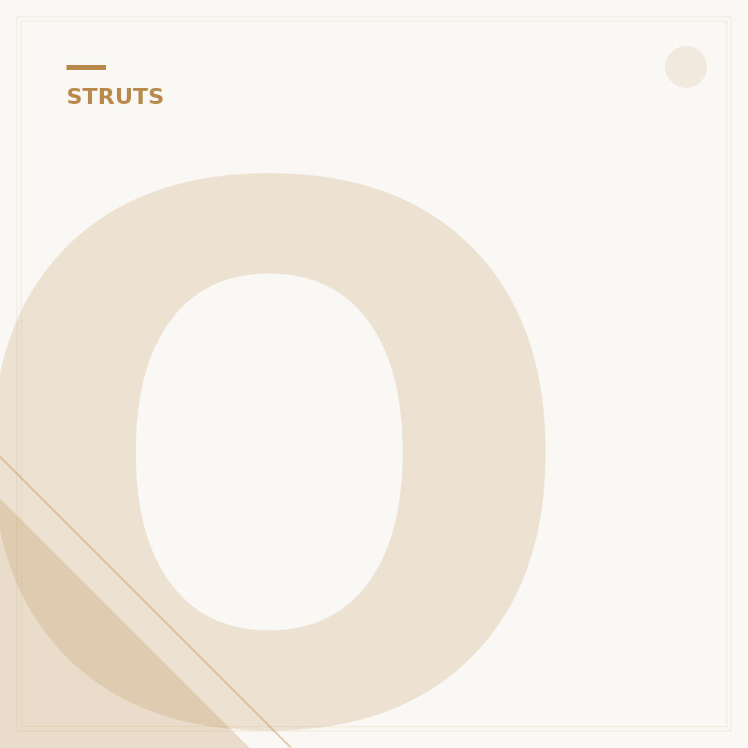 Oleo Struts: 5 Core Functions & Benefits Explained