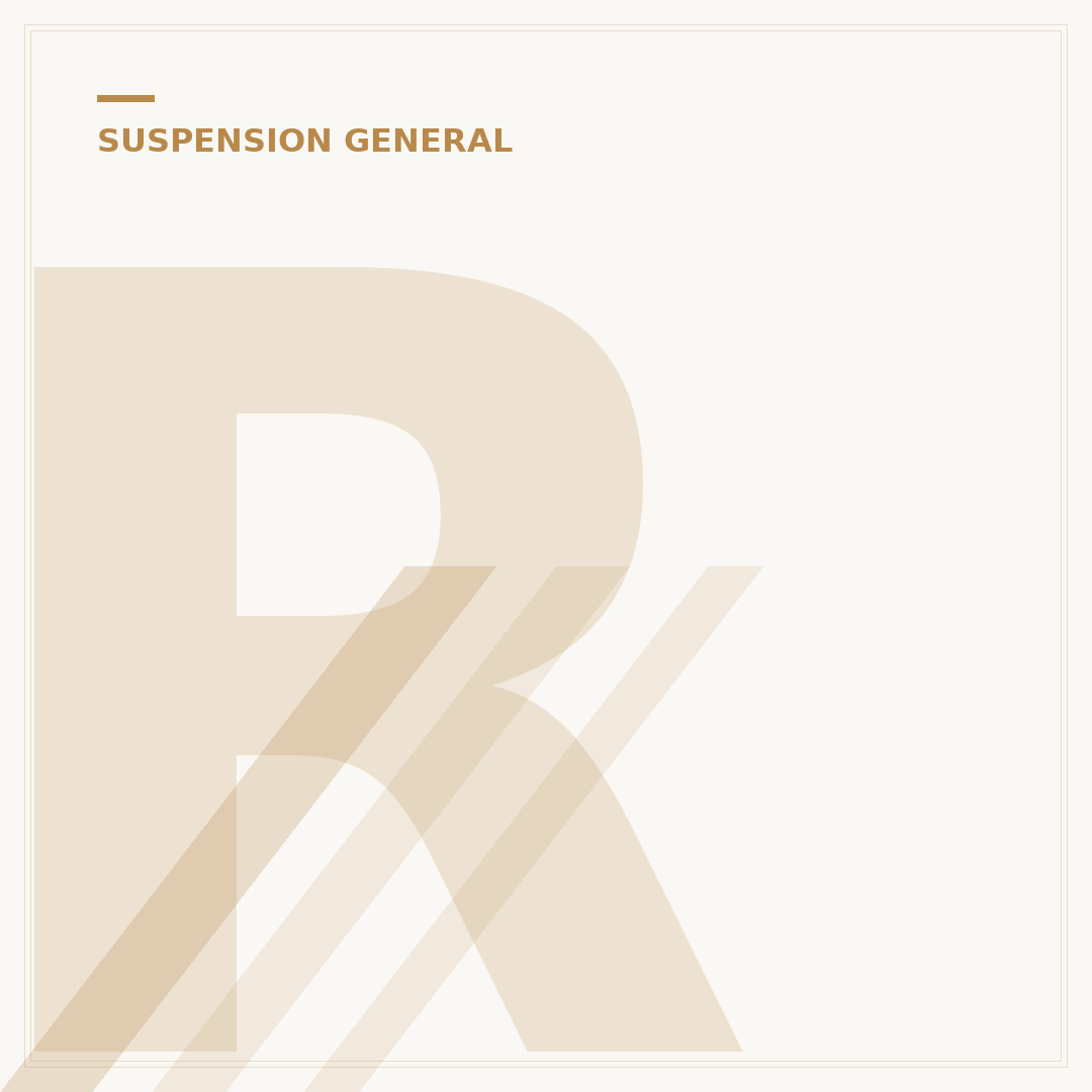 RAS Suspension System: 3 Core Benefits Explained