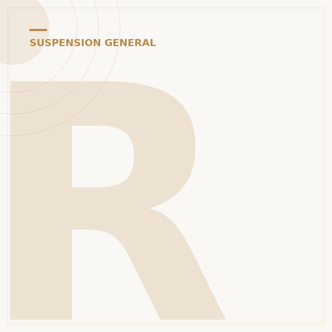 Ridetech Air Ride Suspension: Precision Control Explained