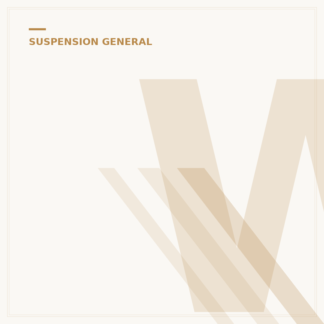 What Service Suspension System Means: 5 Key Functions Explained