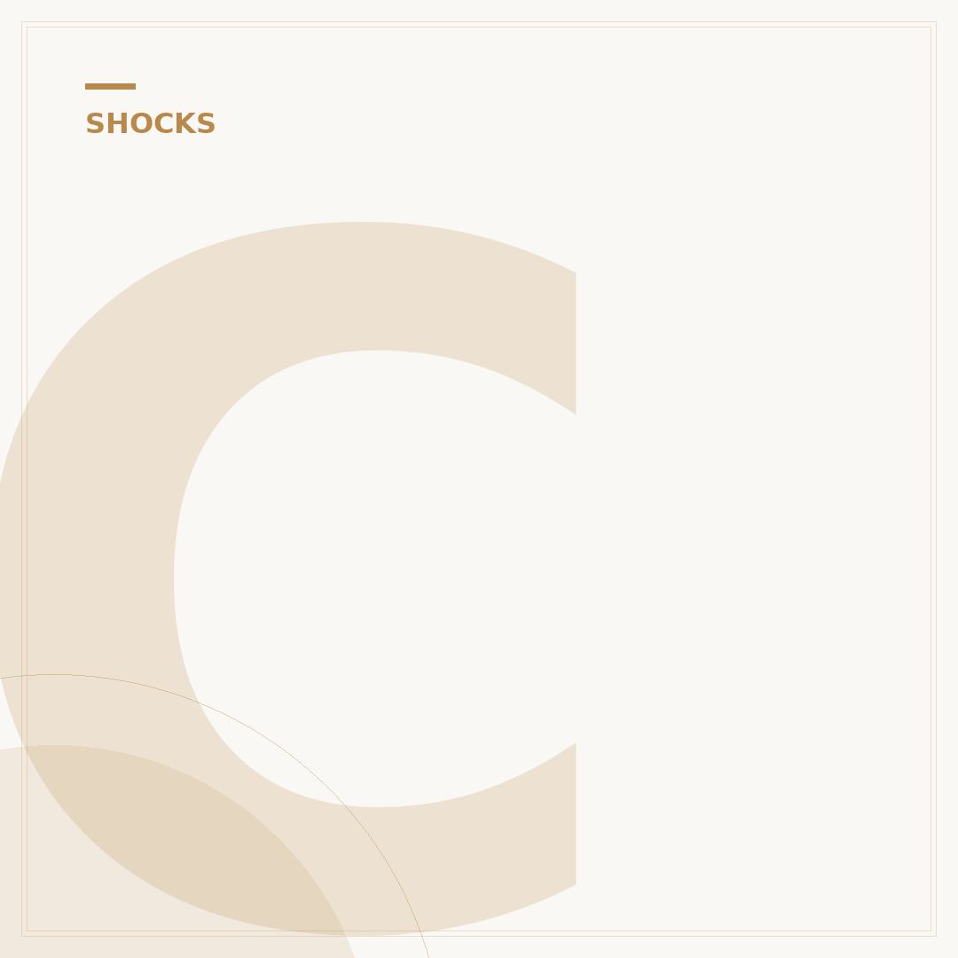Complete Shock Strut Assembly: 3 Crucial Pros & Cons