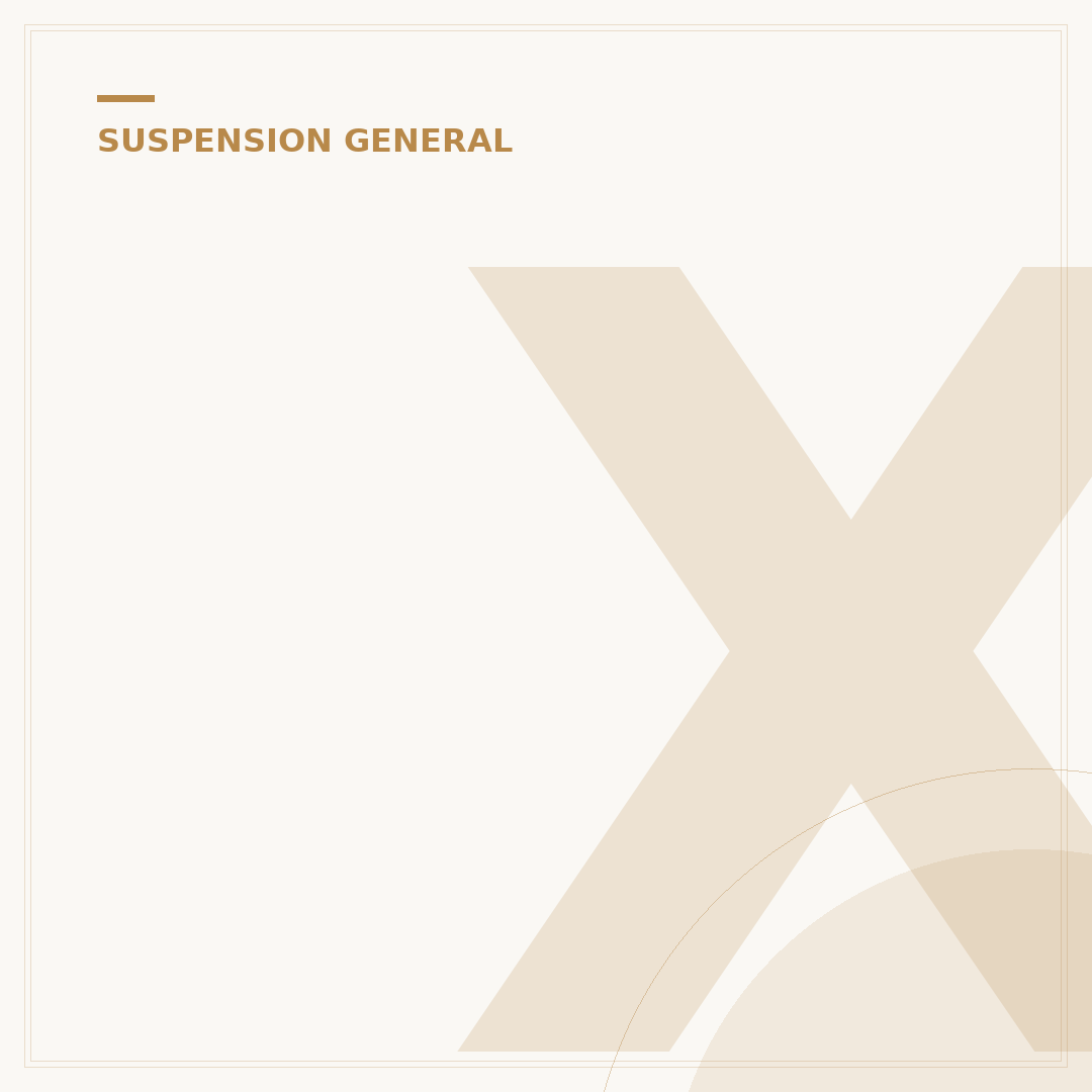X REAS Suspension System: 5 Common Issues & Fixes
